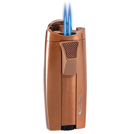 Vector Torches vector